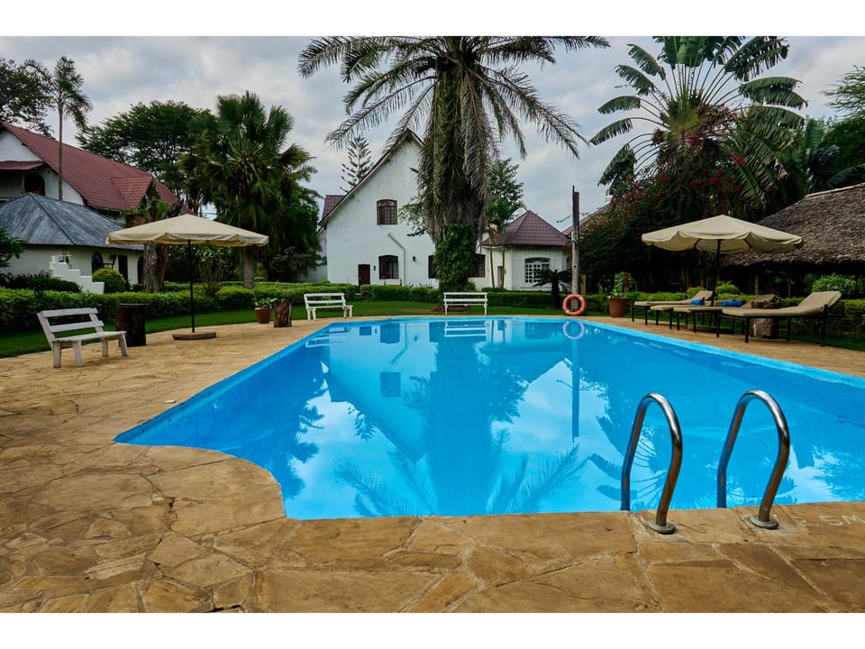 Swimming pool [outdoor]