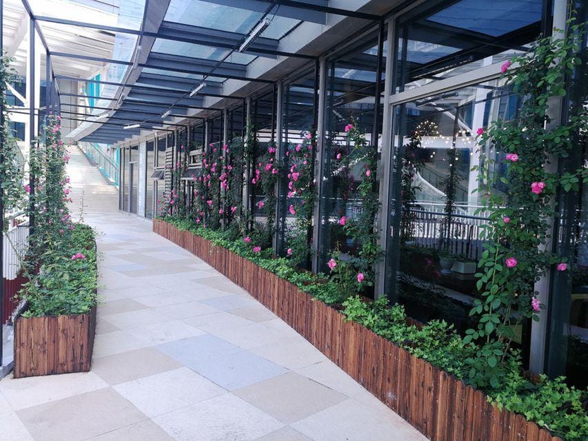 Rose Art Hotel (Ningbo Beilun Yintai City Store) Hotel in Zhejiang