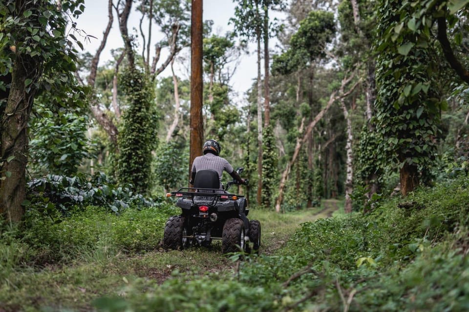 Tusker Trail Hotel in Karnataka