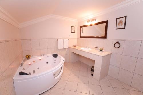 Pension Noblesse Hotel in Serbia