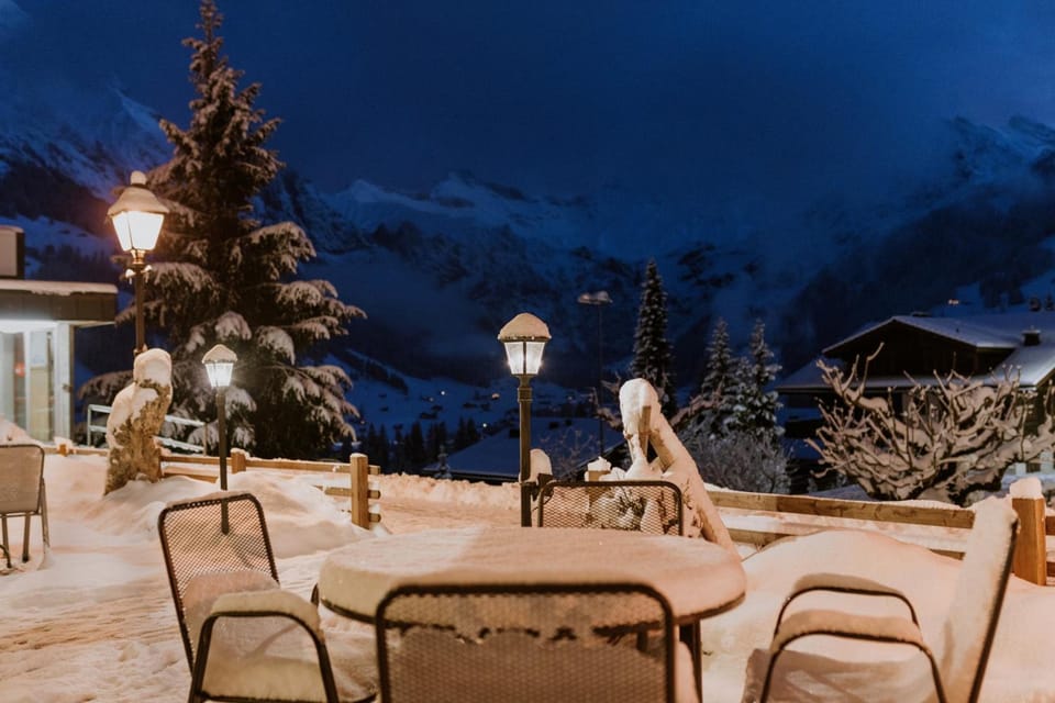 Adler Adelboden Hotel in Adelboden