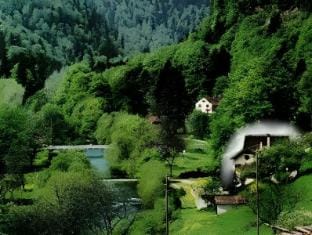 Hotel de la Truite Hotel in Neuchâtel, Switzerland