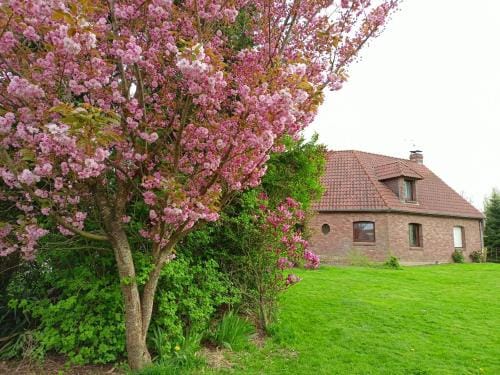 Les chambres du Vert Galant "La campagne qui murmure" Hotel in Flanders