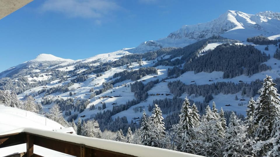 Hotel Crea Hotel in Adelboden