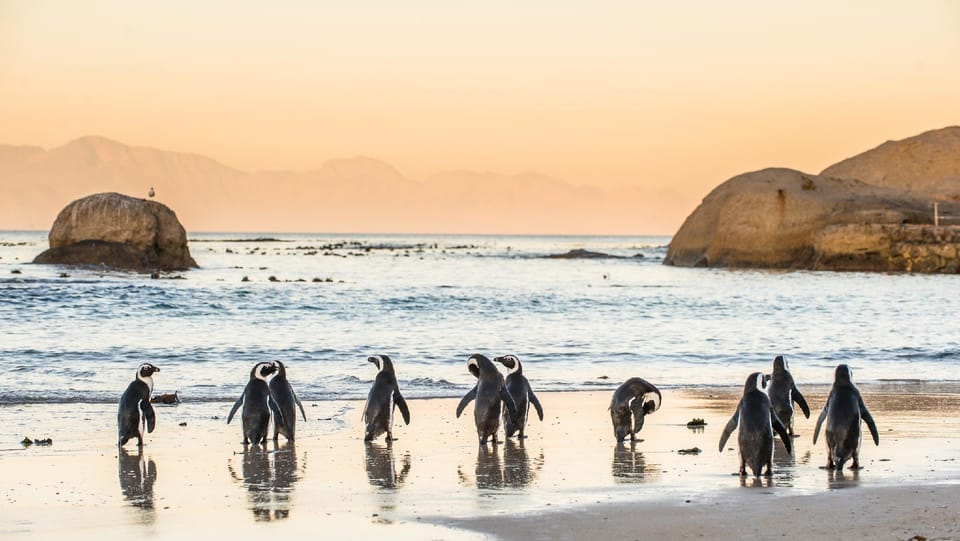 Blueline Inn - Boutique Hotel Inn in Cape Town
