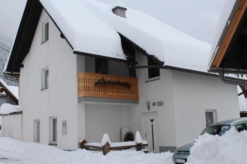 Apartments & Hostel Bohinj Hotel in Friuli-Venezia Giulia