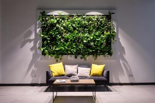 Boca Boutique Hotel Hotel in Timisoara