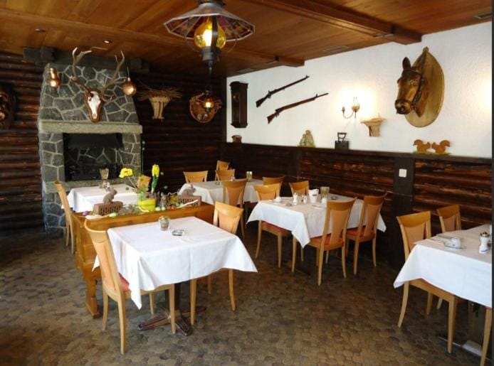Hotel Alpha Hotel in Saas-Fee