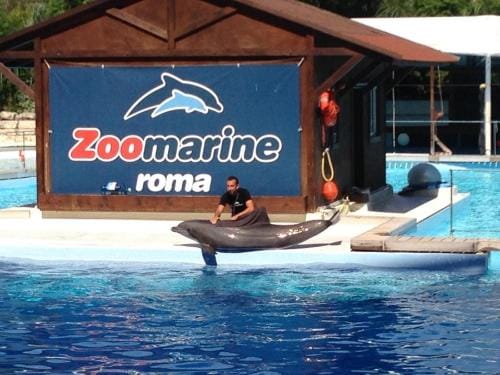 Blue Marine di Ostia Hotel in Ostia