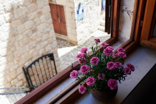 TOMY - KATY Hotel in Trogir