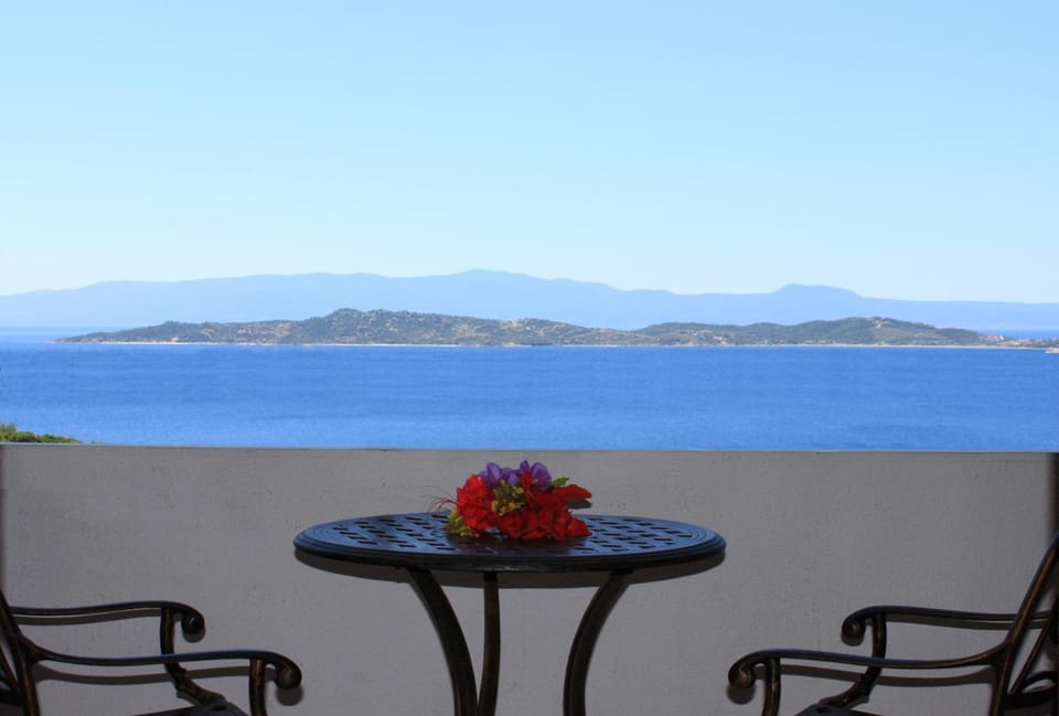 Athorama Hotel Hotel in Halkidiki