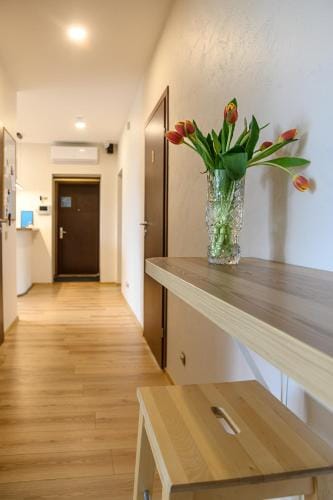 Klaipeda Hostel Hostel in Klaipėda