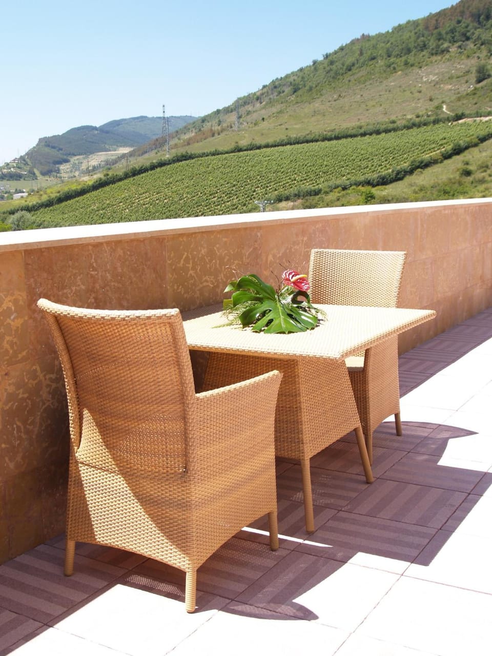 Balcony/terrace