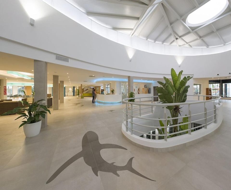 Marvell Club Aparthotel Hotel in Ibiza