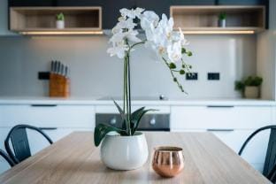 Youngtown Executive Apartments Hotel in Tasmania
