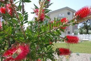 Dream Boutique Apartments Hotel in Nikiti