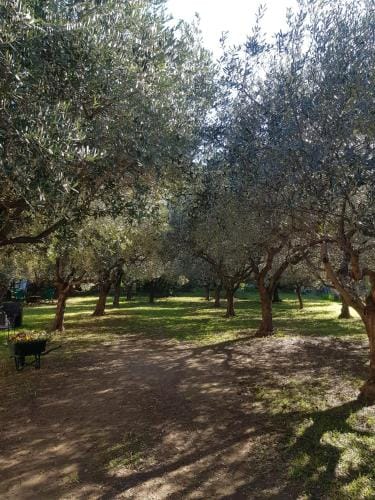 Bibi a Mare Hotel in Finale Ligure