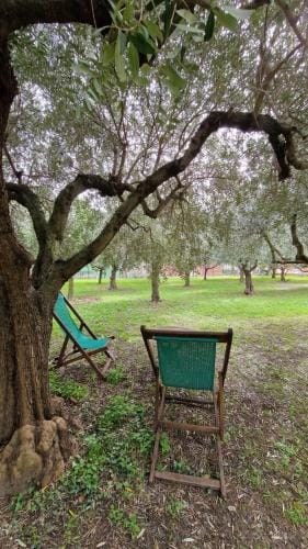 Bibi a Mare Hotel in Finale Ligure