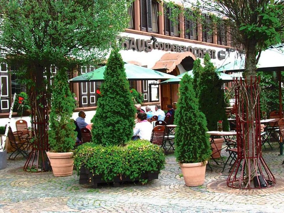 Hotel Restaurant Zum Goldenen Ochsen Hotel in Rhineland-Palatinate