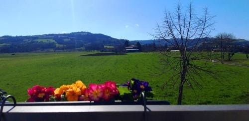 B&B Des Artistes Hotel in Emilia-Romagna