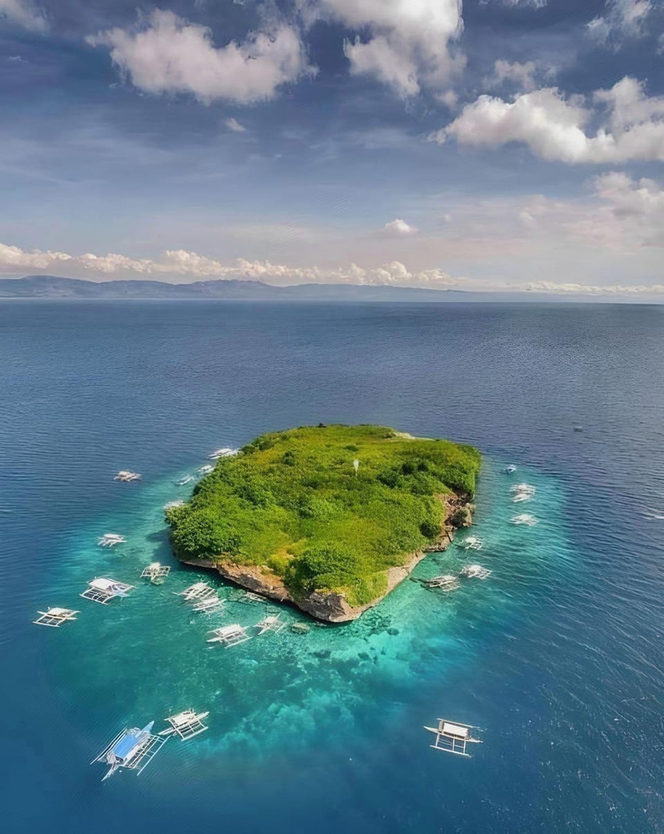 Neptune Diving Resort Moalboal Hotel in Central Visayas