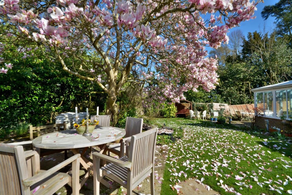 Chequers Hotel Hotel in Pulborough
