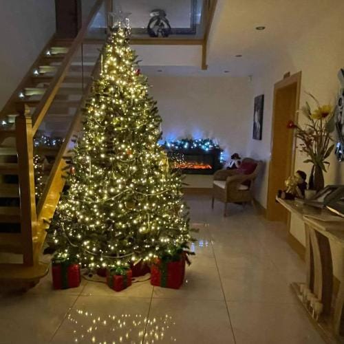 Woodview Bed & Breakfast Hotel in Northern Ireland