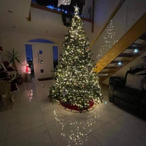 Woodview Bed & Breakfast Hotel in Northern Ireland