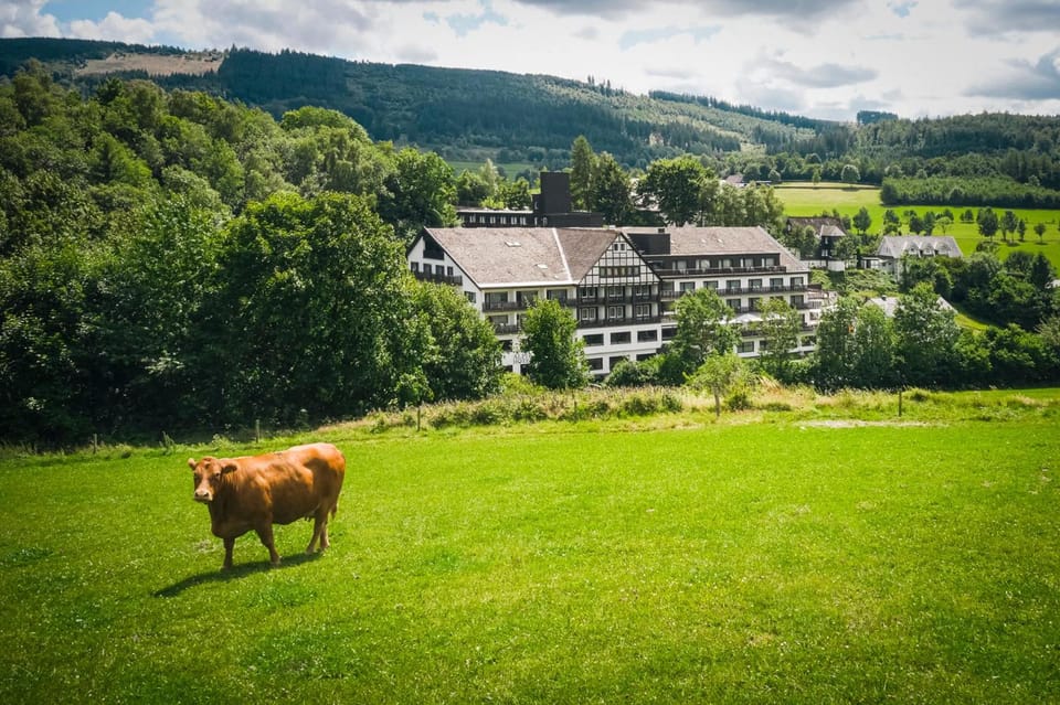 Sauerland Alpin Hotel Hotel in Schmallenberg