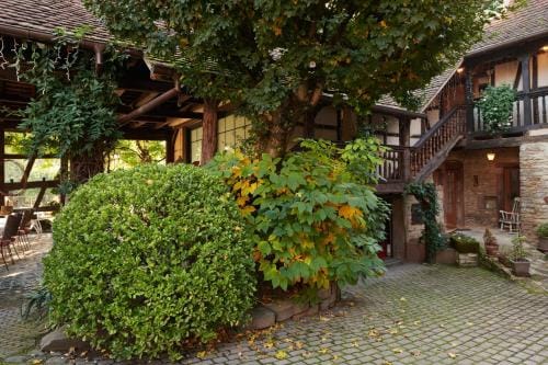 La Cour de Lise Hotel in Baden-Württemberg