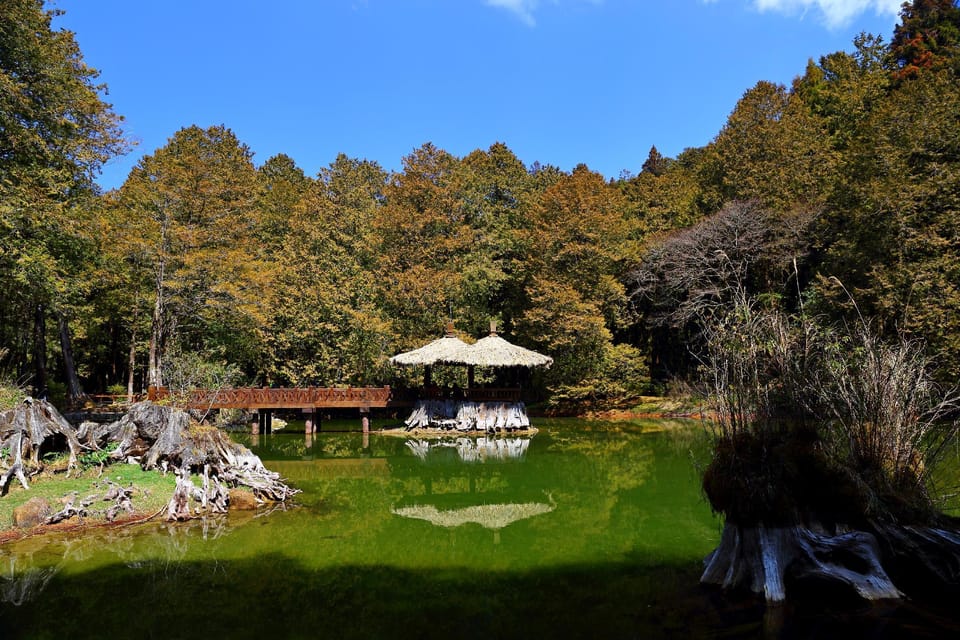 Ali-Shan Kaofeng Hotel Hotel in Taiwan, Province of China