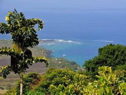 Ka awaloa Plantation Bed & Breakfast Hotel in Captain Cook