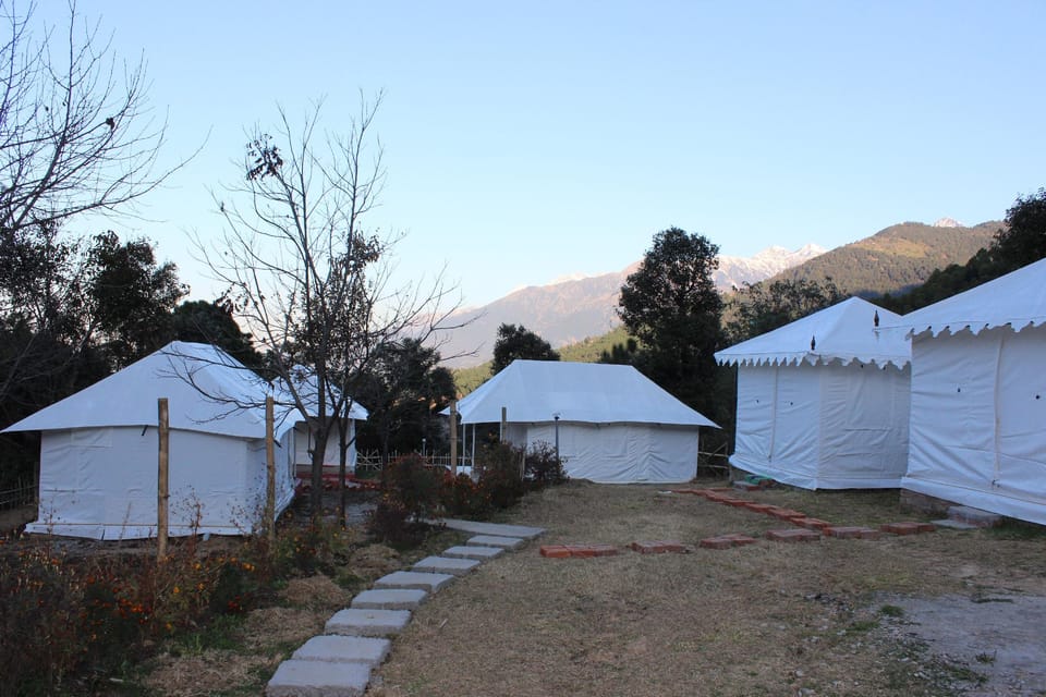 Shivirama Glamping Hotel in Punjab, India