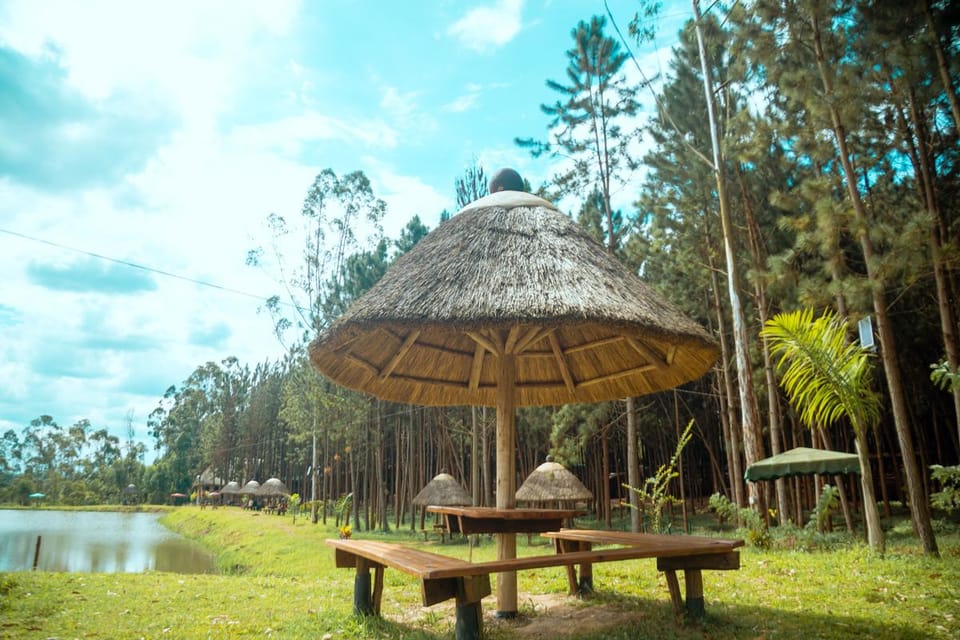 Surrounding environment