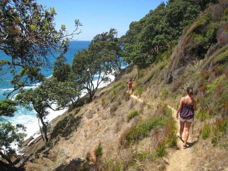 Waihi Beach Lodge Lodge in Bay Of Plenty