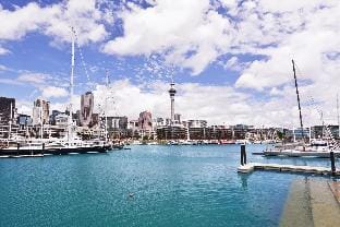 Fat Camel Backpackers - Auckland Hostel in Auckland
