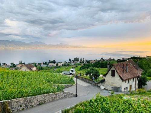 #Lavaux Hotel in Lausanne