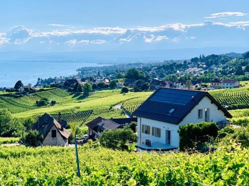 #Lavaux Hotel in Lausanne