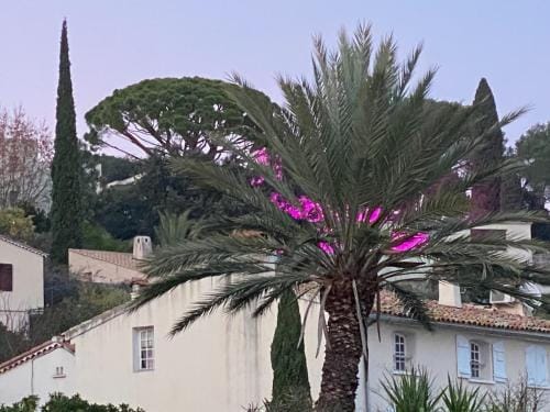 La Suite Sainte Claire Hotel in Hyères