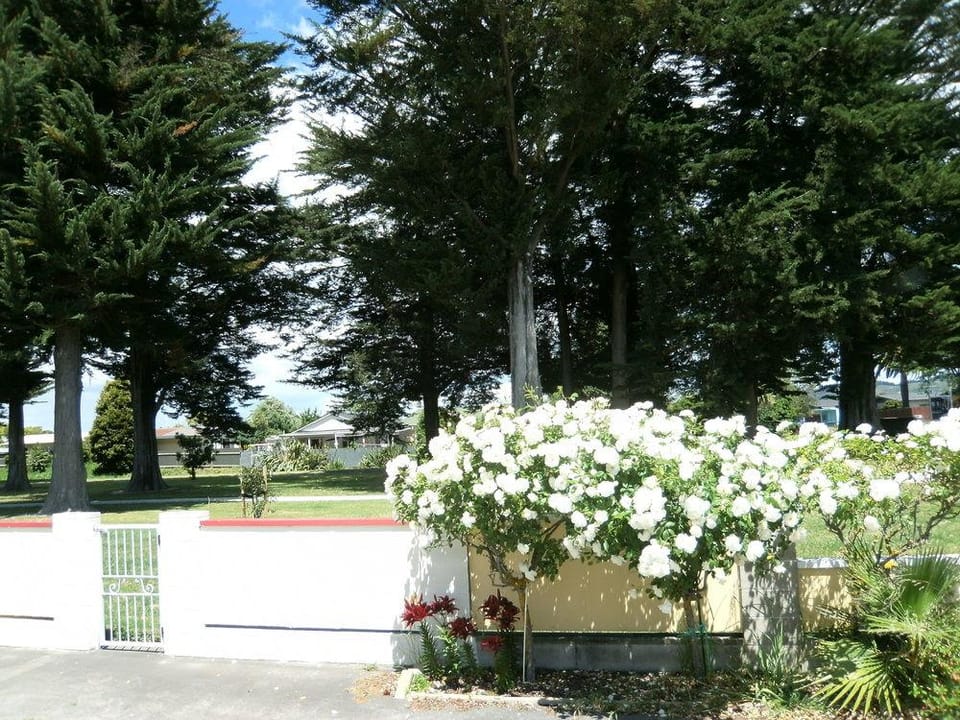 Pania Lodge Motel Motel in Napier