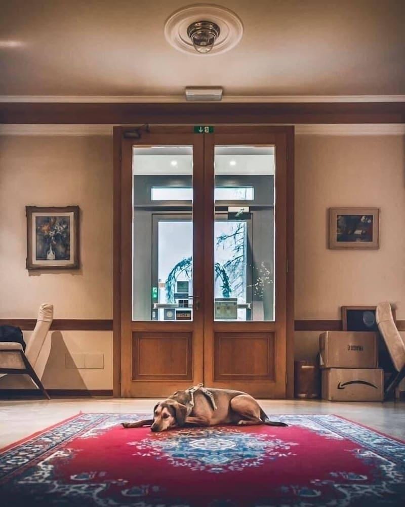Hotel Du Lac Hotel in Trentino-South Tyrol