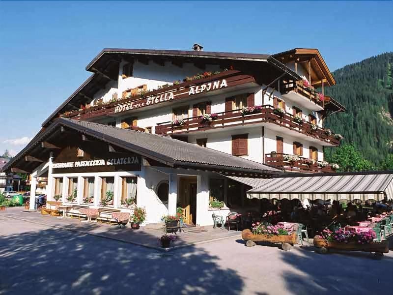 Hotel Stella Alpina Hotel in Pie' Falcade