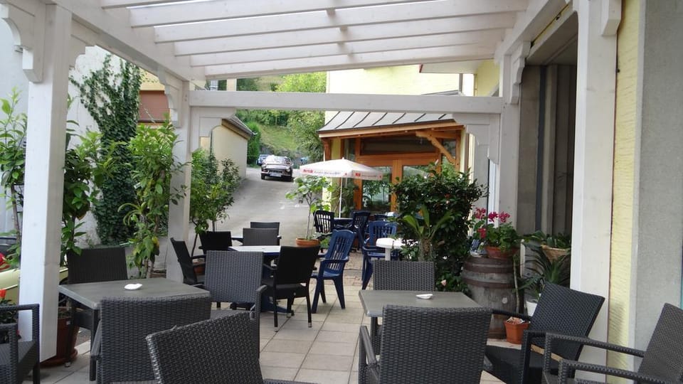 Hotel Restaurant Aux Bruyères Hotel in Orbey