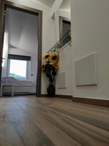 Attico al Gallitello Hotel in Basilicata