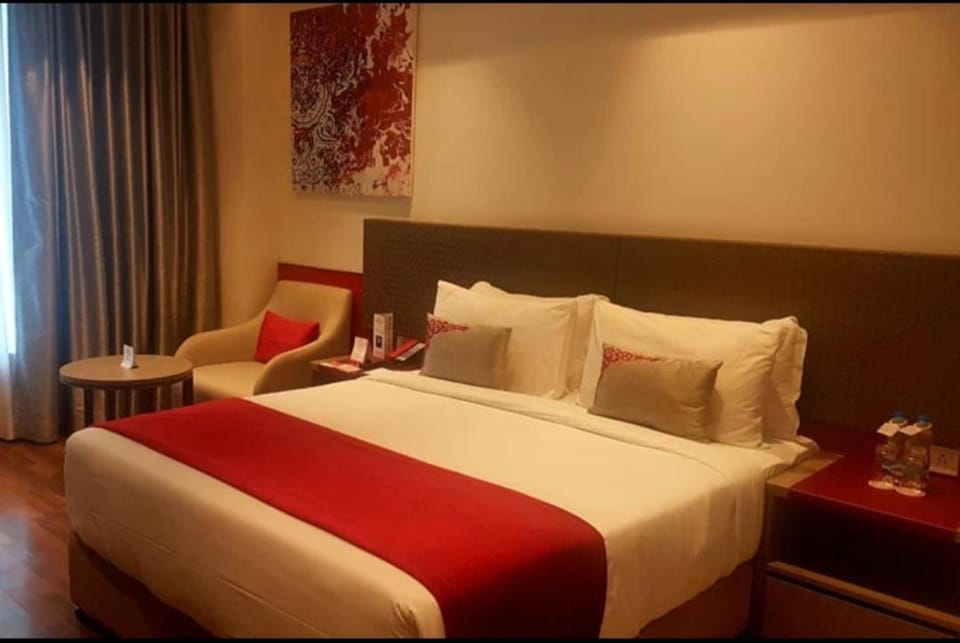 HOTEL ROYAL ORBIT Hotel in Lucknow