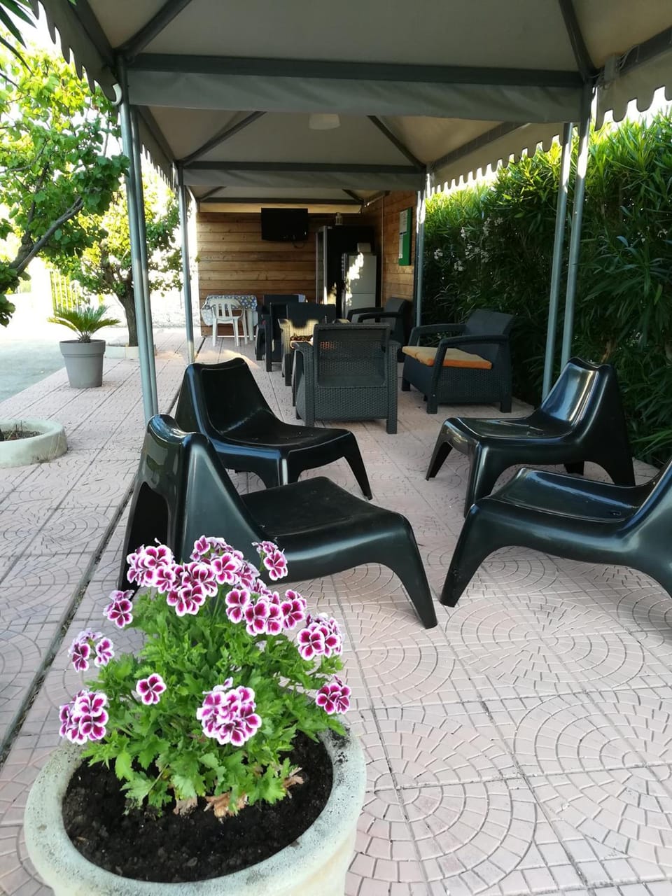 Holidays in Vieste in charming villas - 5 Resort in Province of Foggia