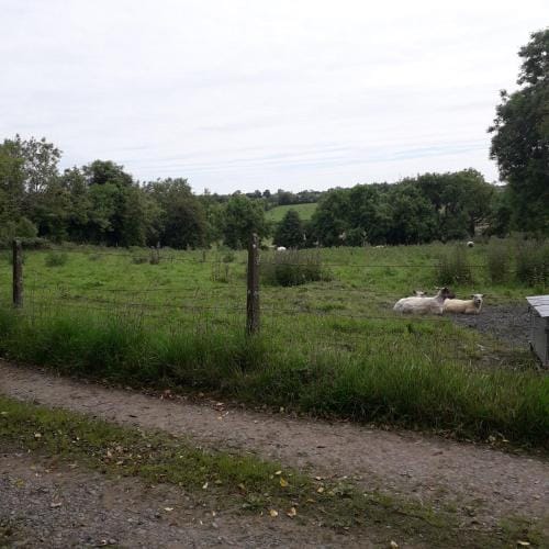 Dutchdream b&b logcabin Hotel in Meath, Co. Meath, Ireland