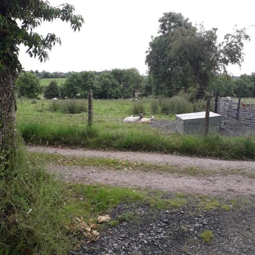 Dutchdream b&b logcabin Hotel in Meath, Co. Meath, Ireland