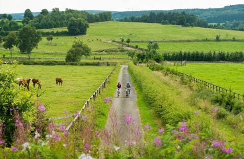 SLEEP INN Bed&Breakfast Hotel in Wallonia, Belgium