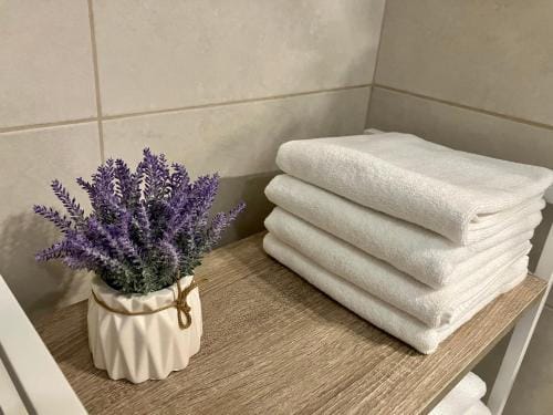 Petlov salas rooms Hotel in Novi Sad